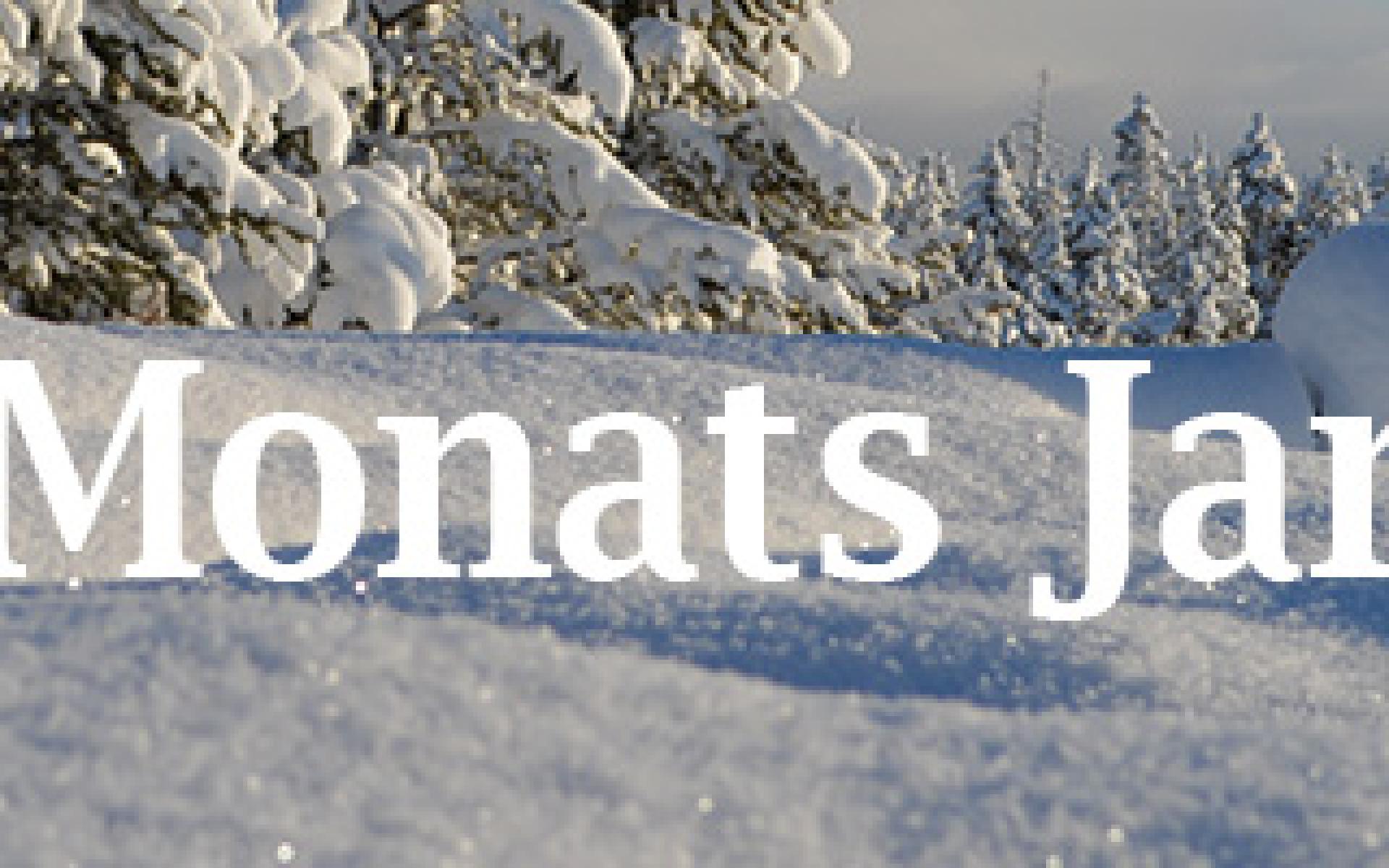 Bücher des Monats Jänner Februar