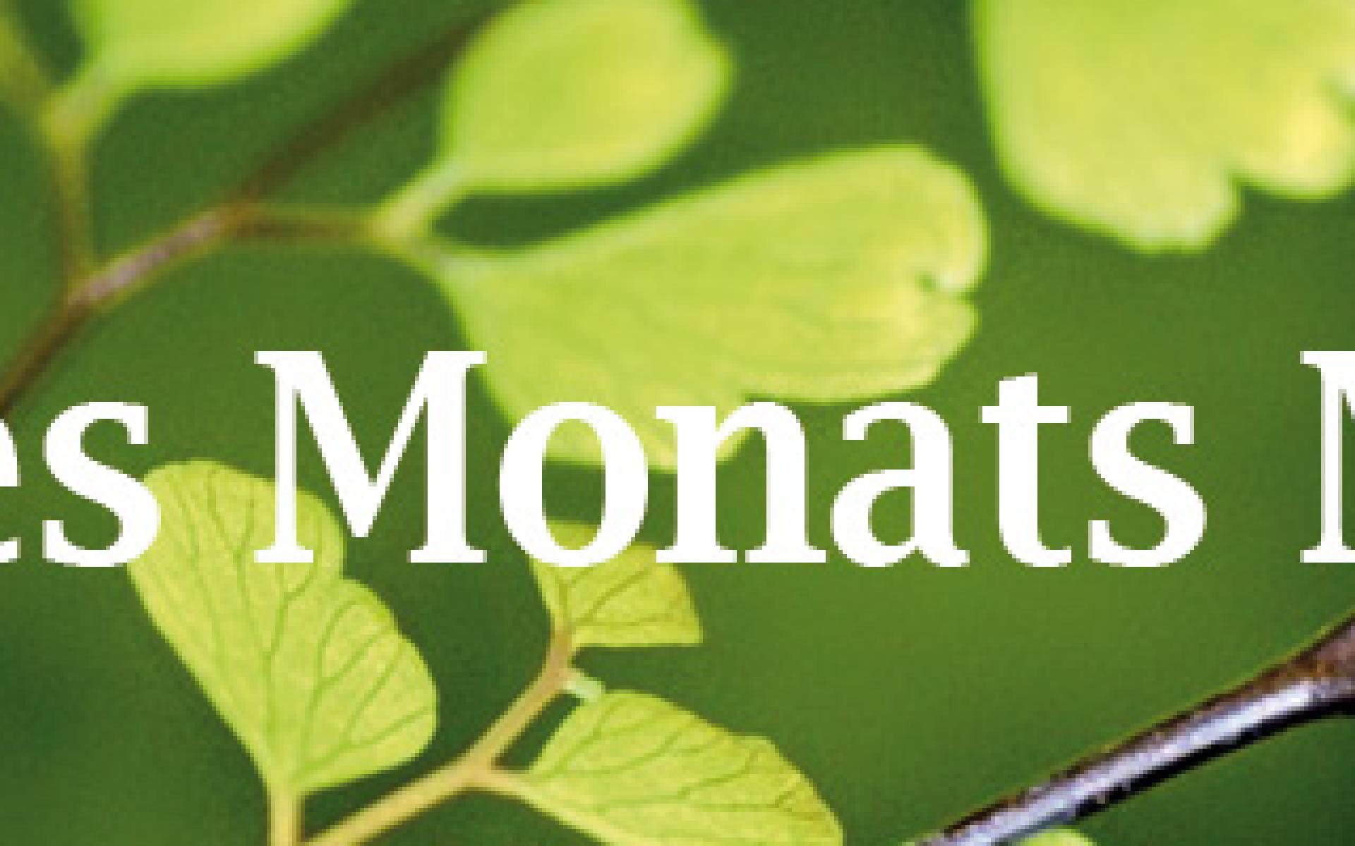 Bücher des Monats März April